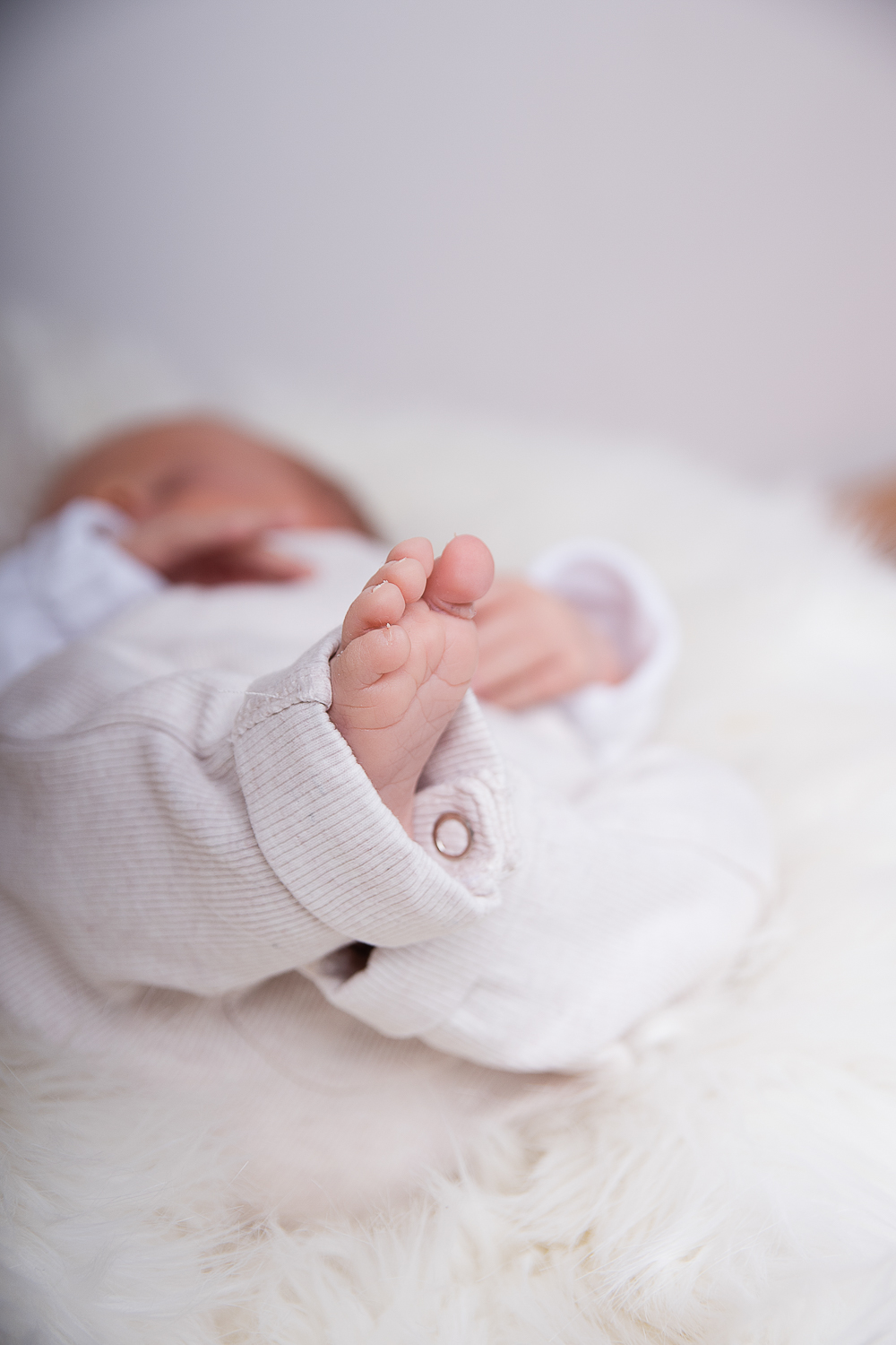 Babyfoto Newborn Bilder Eichstätt und Weißenburg in Bayern